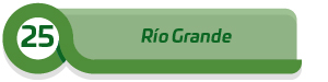 25 Rio grande