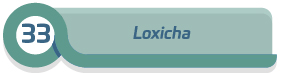 33 Loxicha