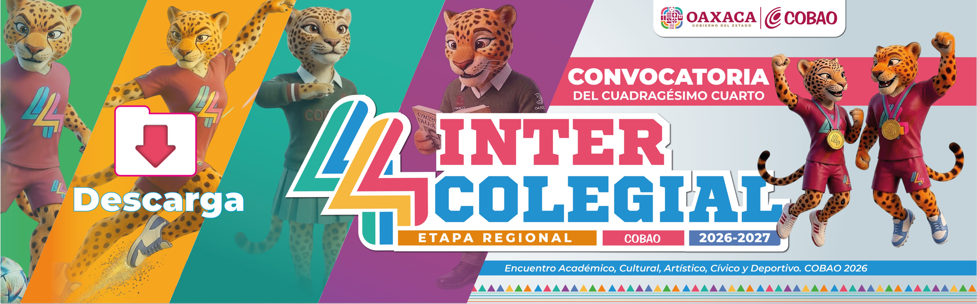 Intercolegial Regional